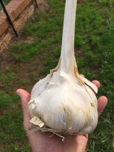 Villa Moresca dei Trulli Fernando