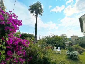 AT El Manzano - Jardín & BBQ - Los Gayoles Rural