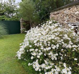 AT El Manzano - Jardín & BBQ - Los Gayoles Rural