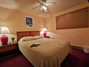 Enjoy the Long Range View, Ski in n out Top of the Mountain condo