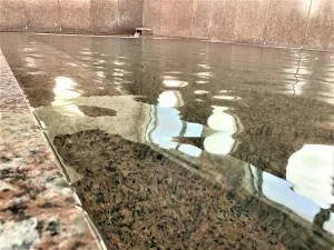 Saga City Hotel - Ōkawa