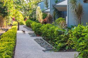 Sunset Waters 12 on Hamilton Island by HamoRent