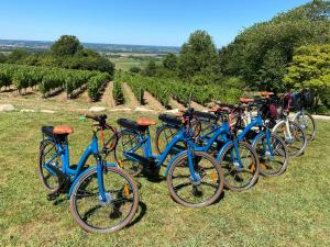 Villas Aux Escapades de Monbazillac : photos des chambres