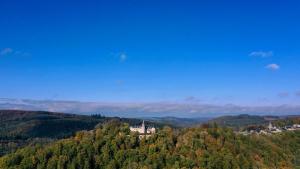 Le Château de Mirwart