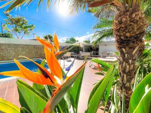 Villa Haygón Private heated pool, bbq & sauna