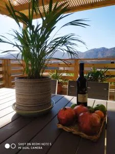 אלת המדברGoddess of the desert - Shaharut