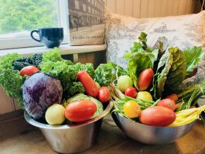 5 bed country home only 2 hrs north of Stockholm