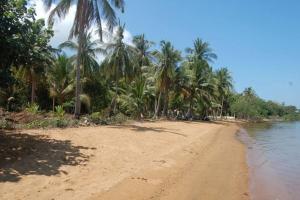 Lotus 2 Bedroom Beachfront Villa with private pool