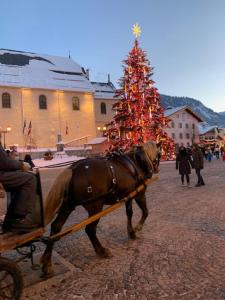 Chalets CHALET MONT BLANC : photos des chambres