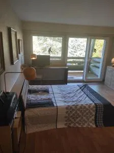 Résidence le Faucon - Col du Donon - Luvigny