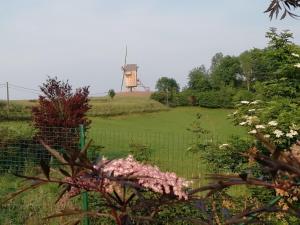 Eco-gîte Au NaturAiles des Collines