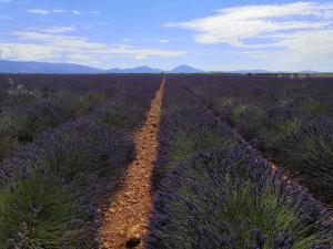 Appartements Lou Pauseto : photos des chambres