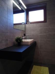 rima apartments