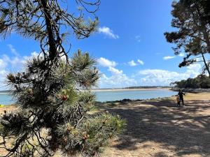 Maisons de vacances LES MIMOSAS : photos des chambres