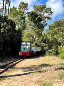 Maisons de vacances LES MIMOSAS : photos des chambres