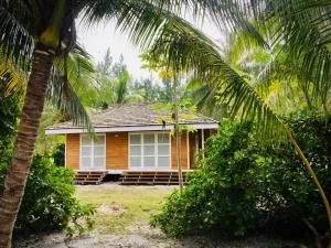 Cottage « the papaya tree » - Temae