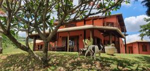 Ellementares Guest House