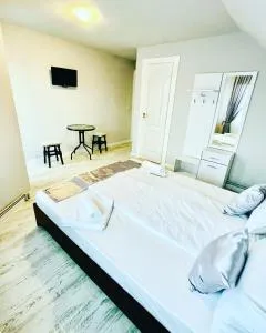 Pensiunea Dragoș Vodă Breb - Budfalva