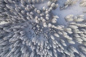 Triangel Boutique Hotel