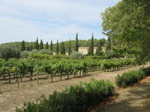 Maisons de vacances Charming an 2-Bed House in Marseillan : photos des chambres