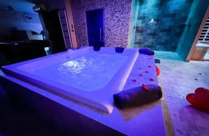 Appartements LE LOFT A BULLES (85m2 Jacuzzi Hammam Billiard Bar Douche Sauna) : photos des chambres