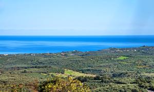 Villa Stelios Private Pool