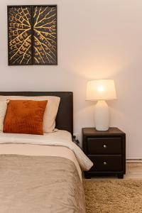 Chic&View Brasov Apartment