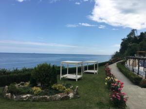 Бяла Клиф Форест - Byala Cliff Forest