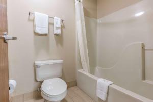 Queen Room with Two Queen Beds - Non-Smoking room in Quality Inn Mount Vernon