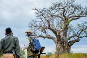 Nkula Camp - Pafuri Walking Safari