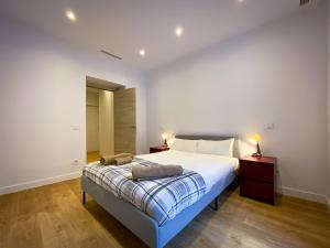 SOL Apartamento Madrid Centro junto a SOL