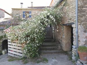 Maisons de vacances Maison et riviere : photos des chambres