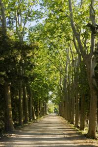 Maisons de vacances Chateau Pech-Celeyran : photos des chambres