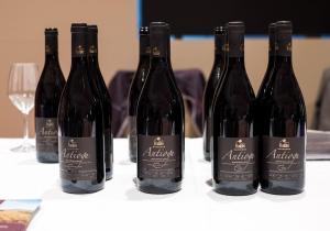 Holiday Mandrolisai DOC img20