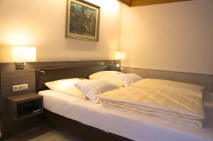 Hotel - Restaurant Kastanienhof Lauingen