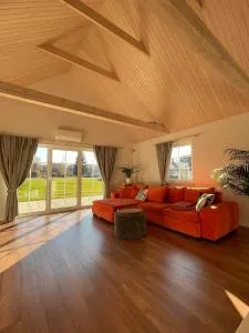 Mandarinas - Niuronys