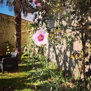 Maisons d'hotes Au Clos des Figues : photos des chambres