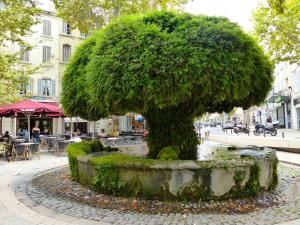 Appartements *FONTAINE MOUSSUE*HYPER CENTRE*T2 STANDING* : photos des chambres