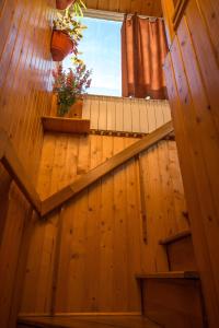 Hotel Plutitor Kingfisher