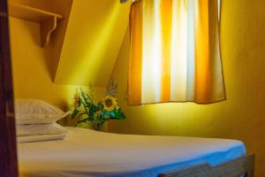 Hotel Plutitor Kingfisher