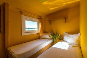 Hotel Plutitor Kingfisher