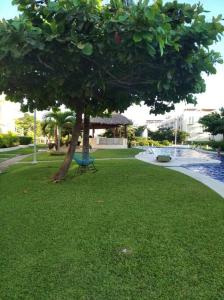 Marina Diamante Acapulco con todos los Servicios