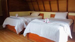 Phòng 2 Giường Đơn Có Cảnh Quan (Twin Room with View)