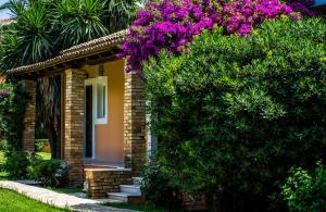 Folies Corfu Town Hotel Apartments Corfu Greece