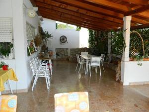 Apartment and Room Darinka