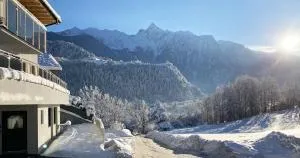 Apart Blickfang - 奥茨塔尔