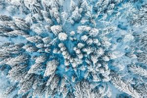 Chalets Chalet Azalee, Montriond, Morzine, Avoriaz : photos des chambres