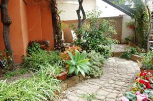 Casa Satta 1925 img42