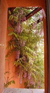 Casa Satta 1925 img4