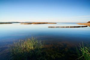 Villages vacances Les Cottages Du Lac : photos des chambres